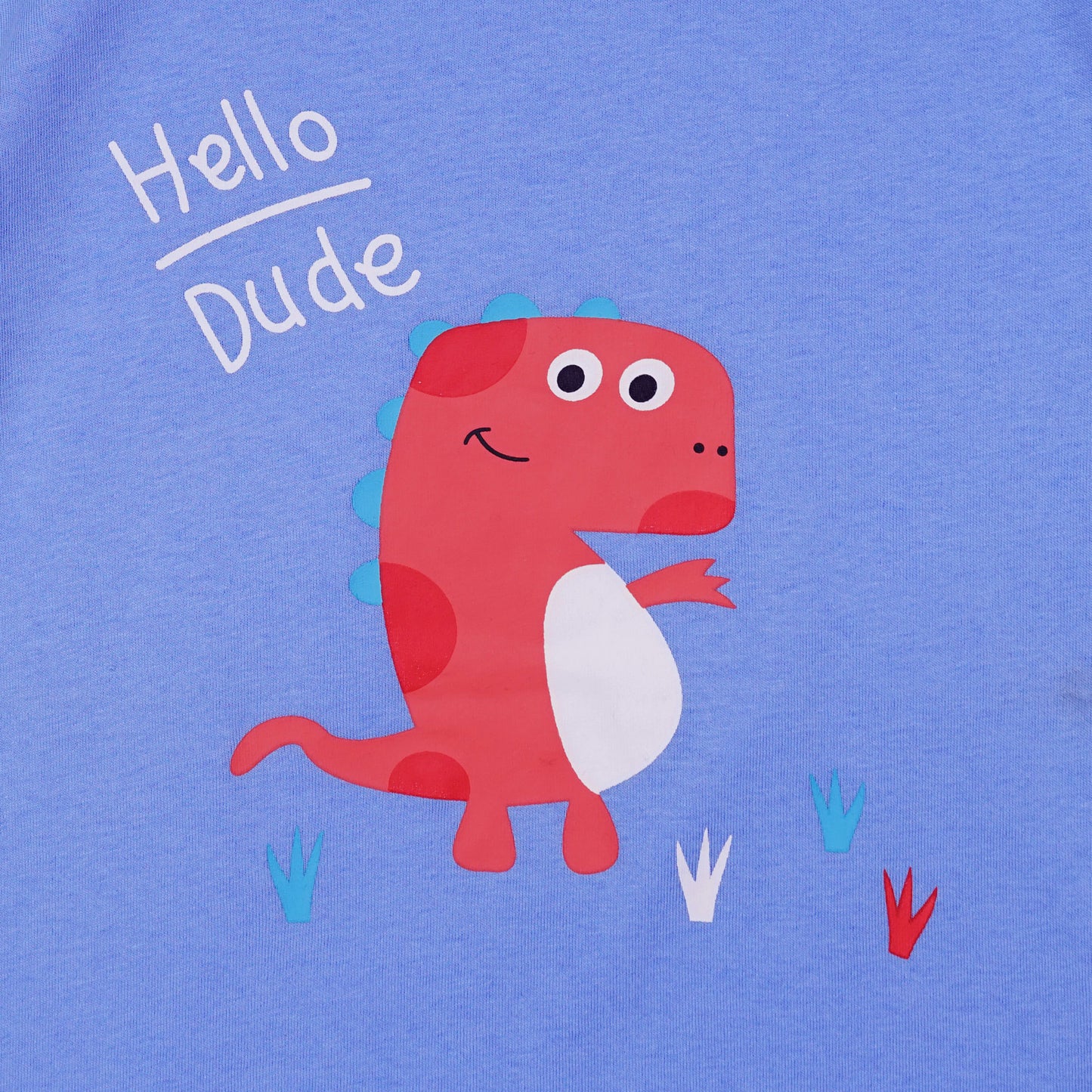 Kids Cotton T-Shirt & Shorts Set |Hello Dude -Blue -CS1110