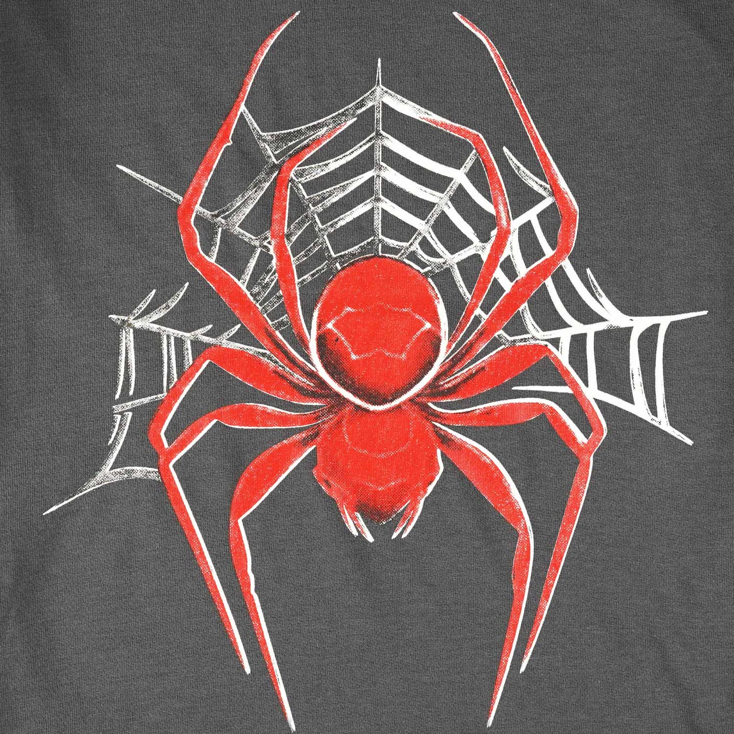 Boys SpiderMan T-Shirt-Charcoal