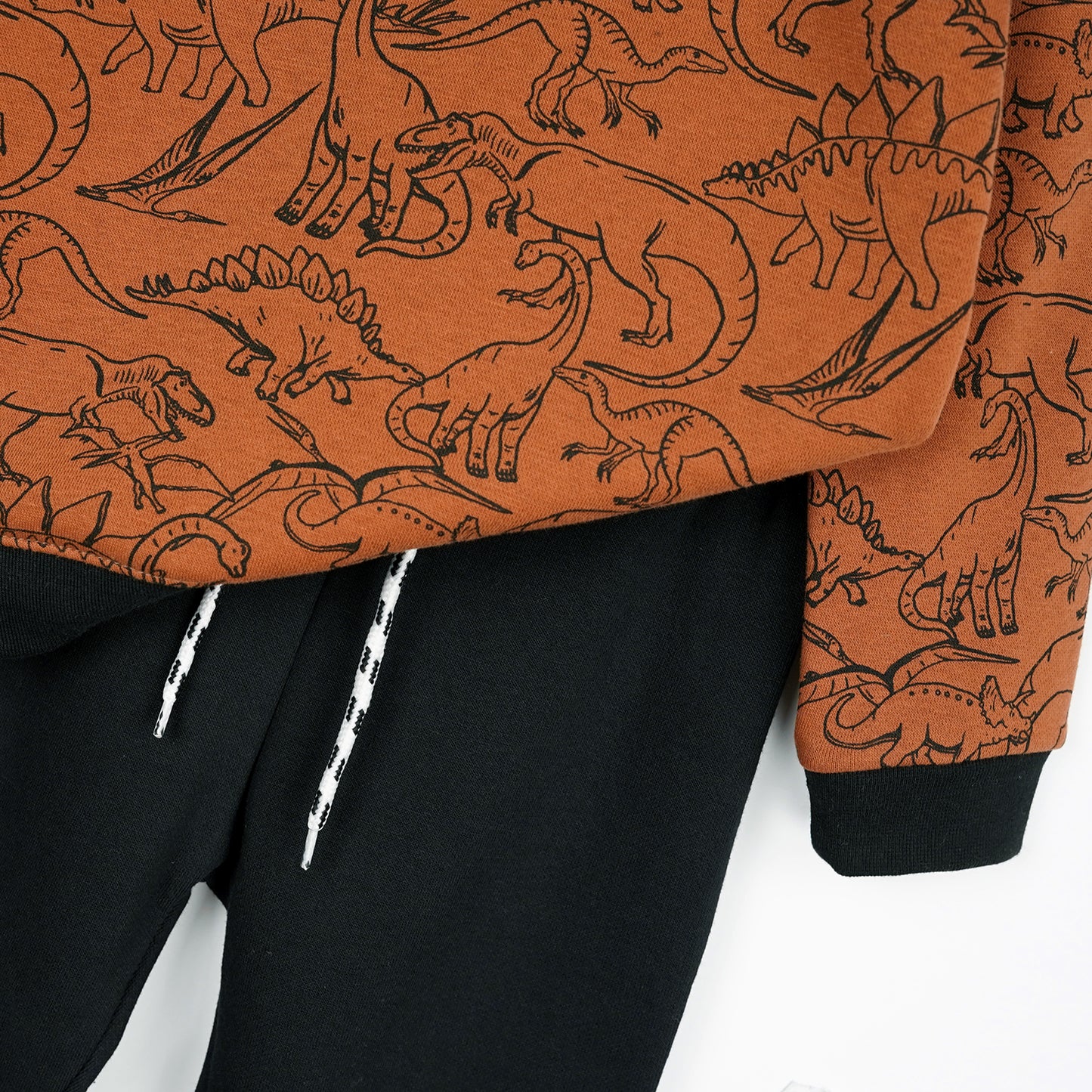 Dino Valley Fleece Jogger Suits